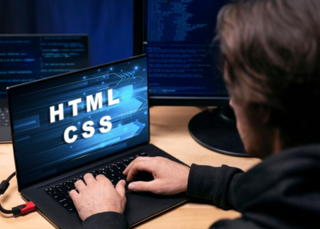 Wordpress Developers