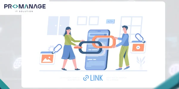 SEO Insights