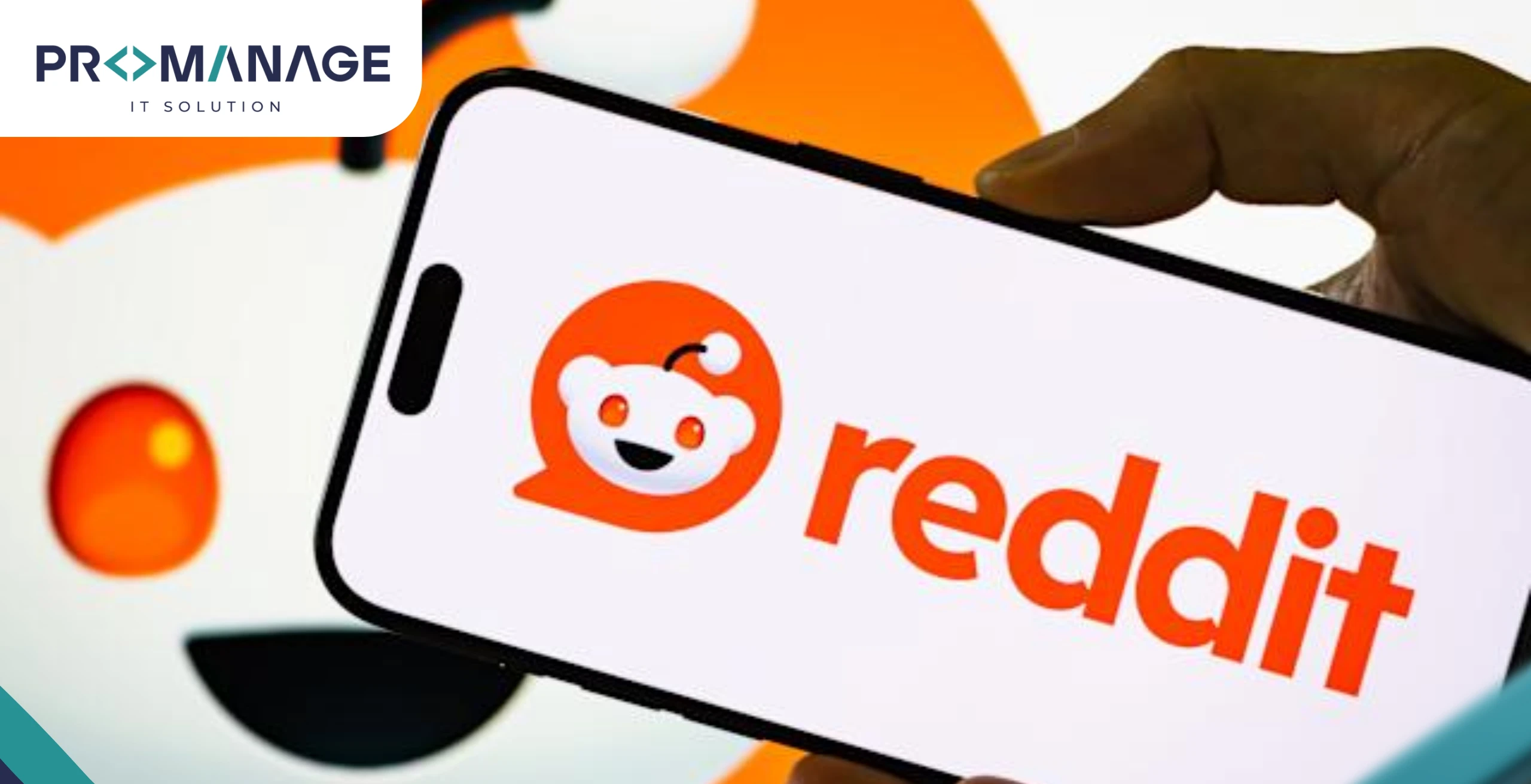 The Future of Reddit Search