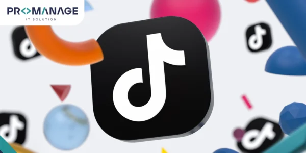 TikTok Ban Delayed