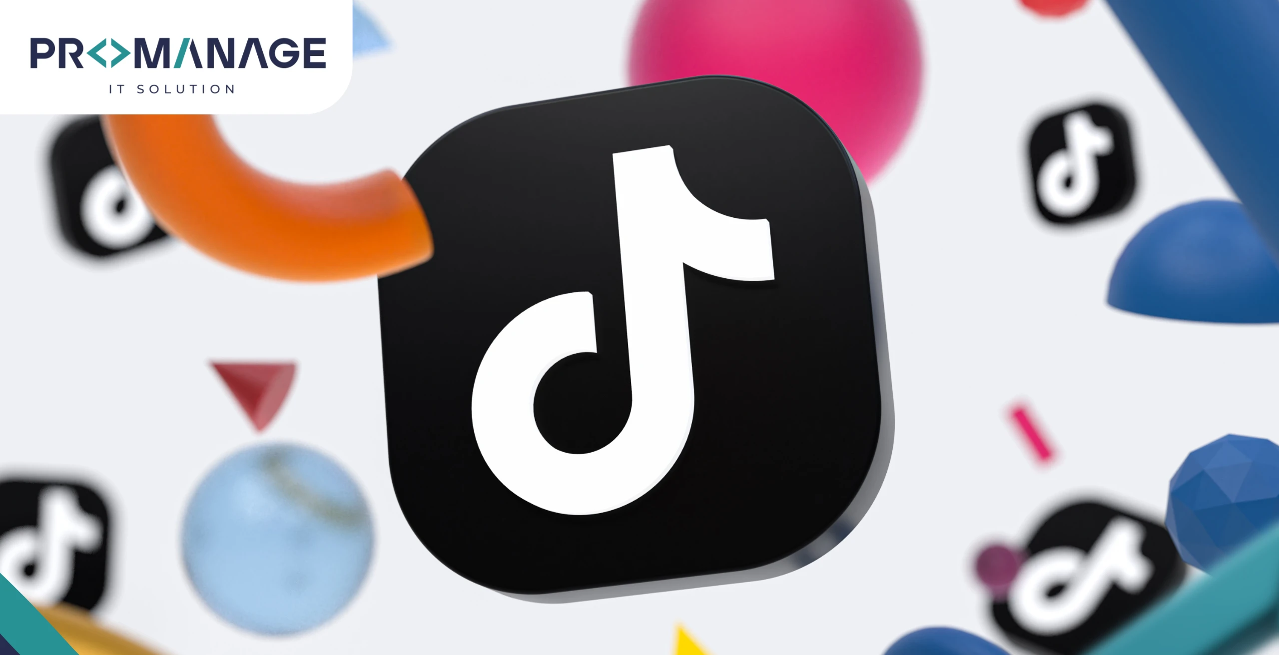 TikTok Ban Delayed