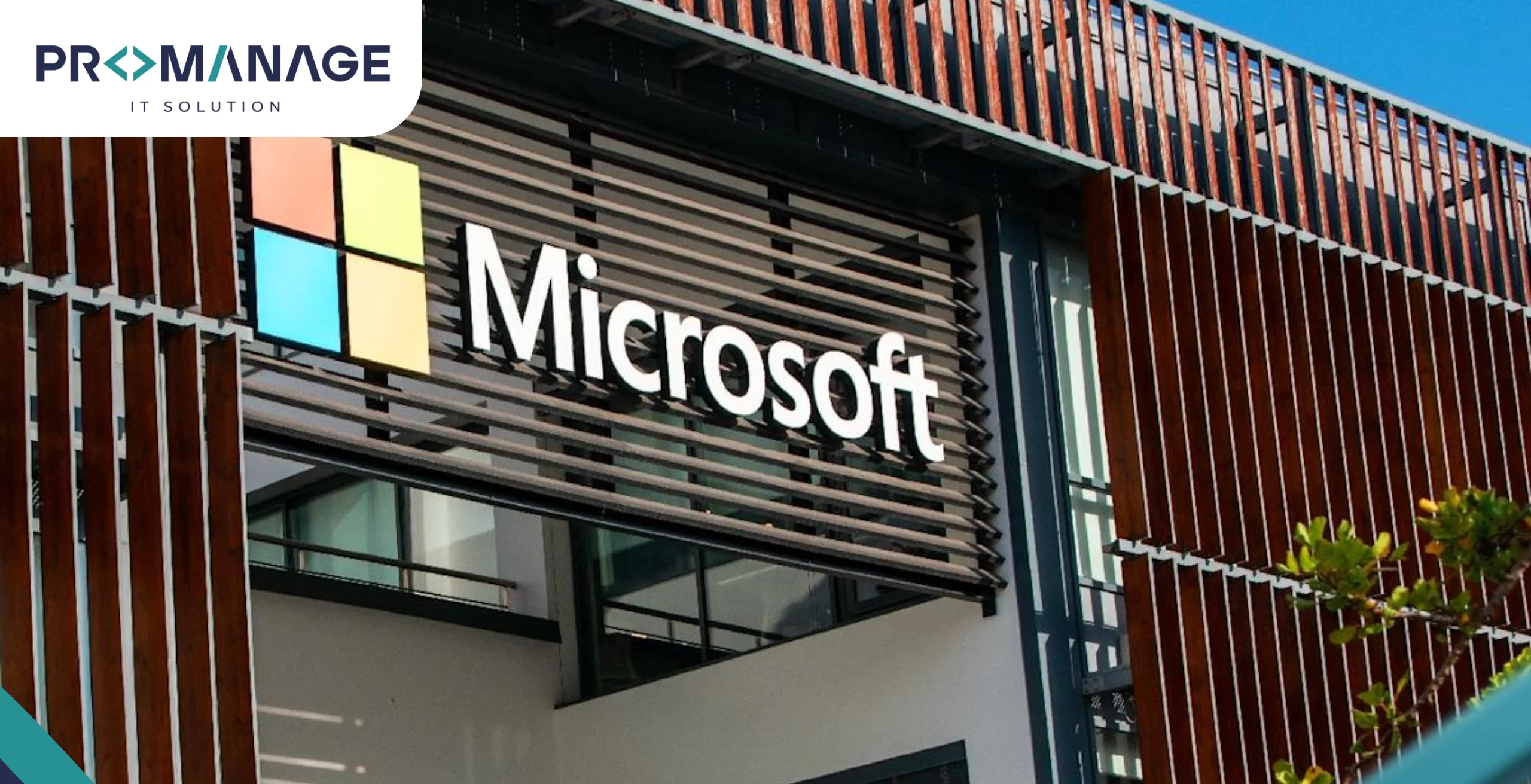 Voice functions and possible